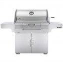 Gril Napoleon Charcoal Professional PRO605