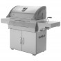 Gril Napoleon Charcoal Professional PRO605