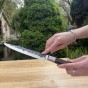 Porcovací nůž FORGED Sebra 20,5cm