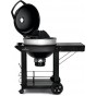 Gril Napoleon Charcoal Cart 3