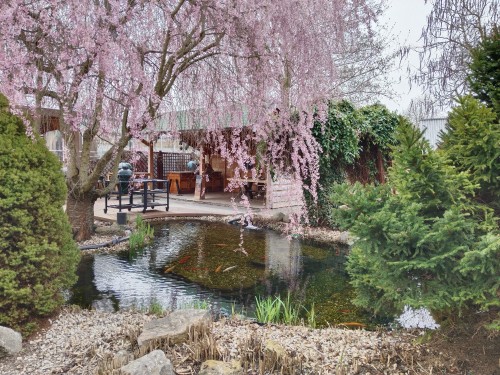 Zahradní centrum Vladeko Tachlovice