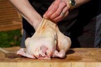 Kuře si položíme prsíčky nahoru a přistoupíme opatrně k oddělení kůže od masa. Kůži nařízneme, prsty pronikneme pod kůži a postupujeme dále až se nám podaří oddělit kůže na celých prsou i stehnech.