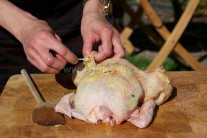 Recept na grilované kuře s pomerančem a libečkem