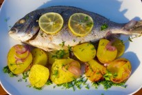 Recept na grilovanou pražmu na bylinkách