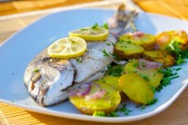 Recept na grilovanou pražmu na bylinkách