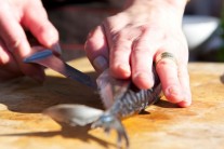 Makrela uzená na grilu