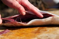 Makrela uzená na grilu