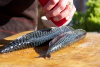 Makrela uzená na grilu