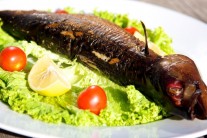 Makrela uzená na grilu