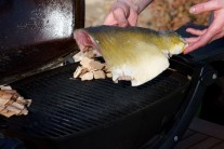 Recept na kapra uzeného na grilu