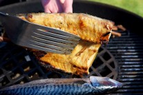 Recept na kapra uzeného na grilu