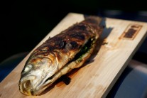 Recept na grilovaného mořského vlka