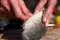 Recept na grilovaného mořského vlka