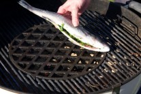 Recept na grilovaného mořského vlka