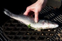 Recept na grilovaného mořského vlka