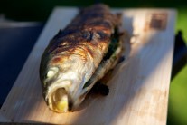 Recept na grilovaného mořského vlka