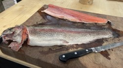 Uzený losos s kuskusovým salátem a rukolové pesto