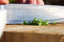 Přehled koření na grilování