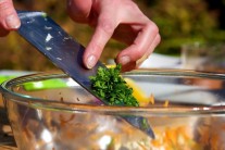 Recept na grilované tofu s mrkvovým salátem