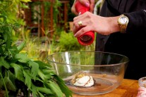 Krémová křenová omáčka