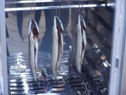 Recept na uzené makrely