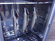 Recept na uzené makrely