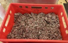 Recept na grilovací klobásy s medvědím česnekem