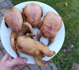 Recept na uzené křepelky podle paní Kateřiny