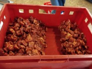 Recept na dom&aacute;c&iacute; pikantn&iacute; paprikovou klob&aacute;su