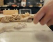 Stejně jako u sulcu tady př&iacute;tomnost s&aacute;dla &scaron;kod&iacute;