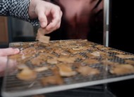 Zauzen&eacute; kousky kůži vytažen&eacute; z ud&iacute;rny