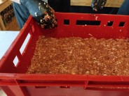 Recept na dom&aacute;c&iacute; hor&aacute;ckou klob&aacute;su
