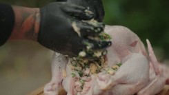 Recept na pomalu pečenou krůtu