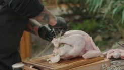 Recept na pomalu pečenou krůtu