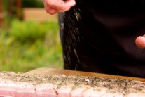 Recept na vepřový bok s estragonem a česnekovo-paprikovou omáčkou