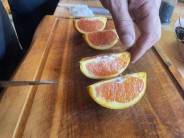 Zakouřená panenka s mesclun salátem a pomerančem