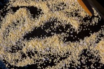 Recept na flank steak s chřestem