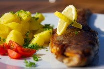 Recept na grilovaného pstruha