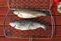 Recept na grilovaného pstruha