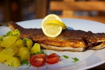 Recept na pstruha na grilu