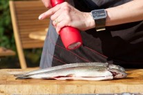 Recept na pstruha na grilu