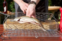 Recept na pstruha na grilu