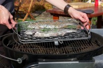 Recept na pstruha na grilu